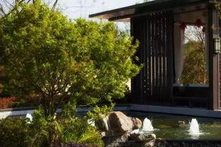 91丨九色丨欧美丨免费入口,探索多元文化盛宴